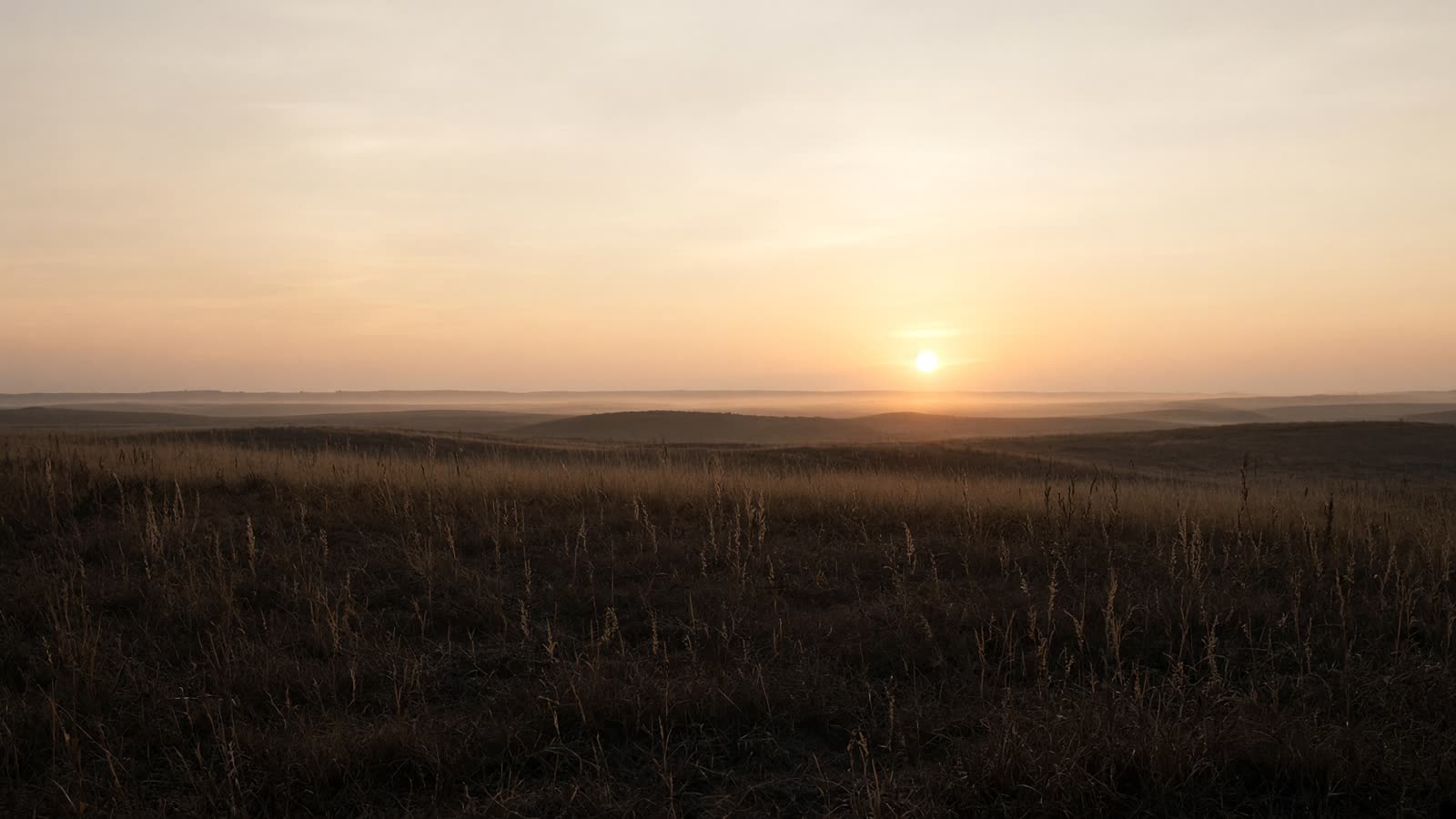 First light over a quiet prairie horizon